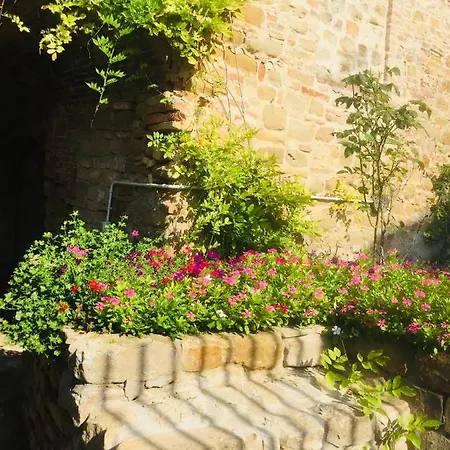 Est 3* San Ginesio